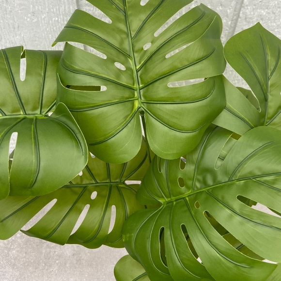 Faux Monstera Deliciosa Plant in Colorful Pot - Picture 8 of 15